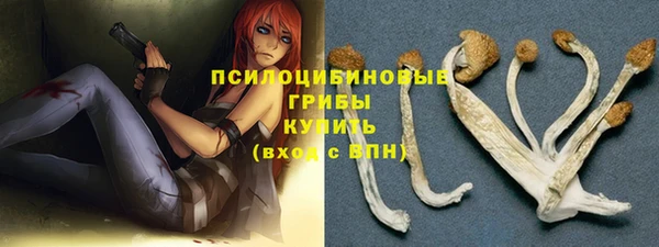 экстази Горняк