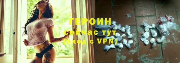 гашик Гусев