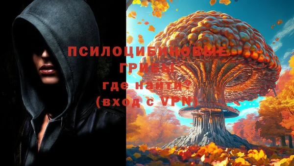 сатива Гусь-Хрустальный