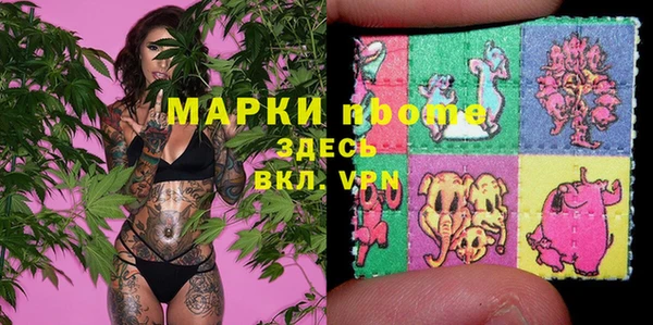 сатива Гусь-Хрустальный