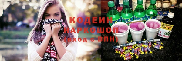 гашик Гусев