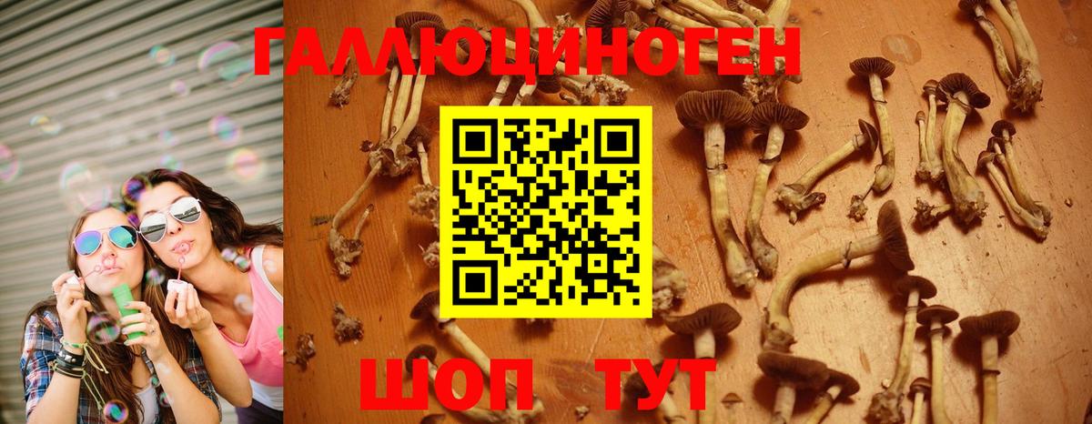 Галлюциногенные грибы ЛСД  Галлюциногенные грибы мицелий  Истра  Вход с VPN 