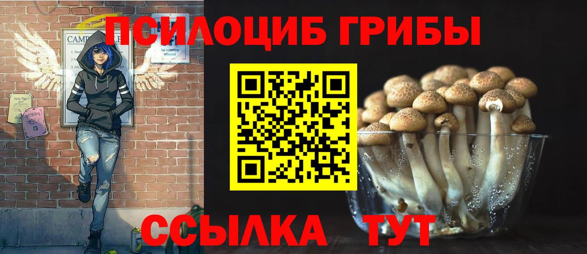 Галлюциногенные грибы ЛСД Истра