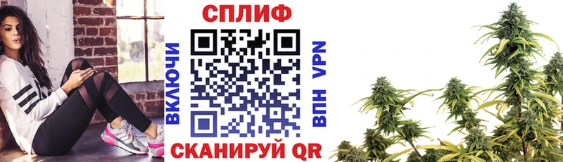 где купить наркоту  Истра  Каннабис марихуана 
